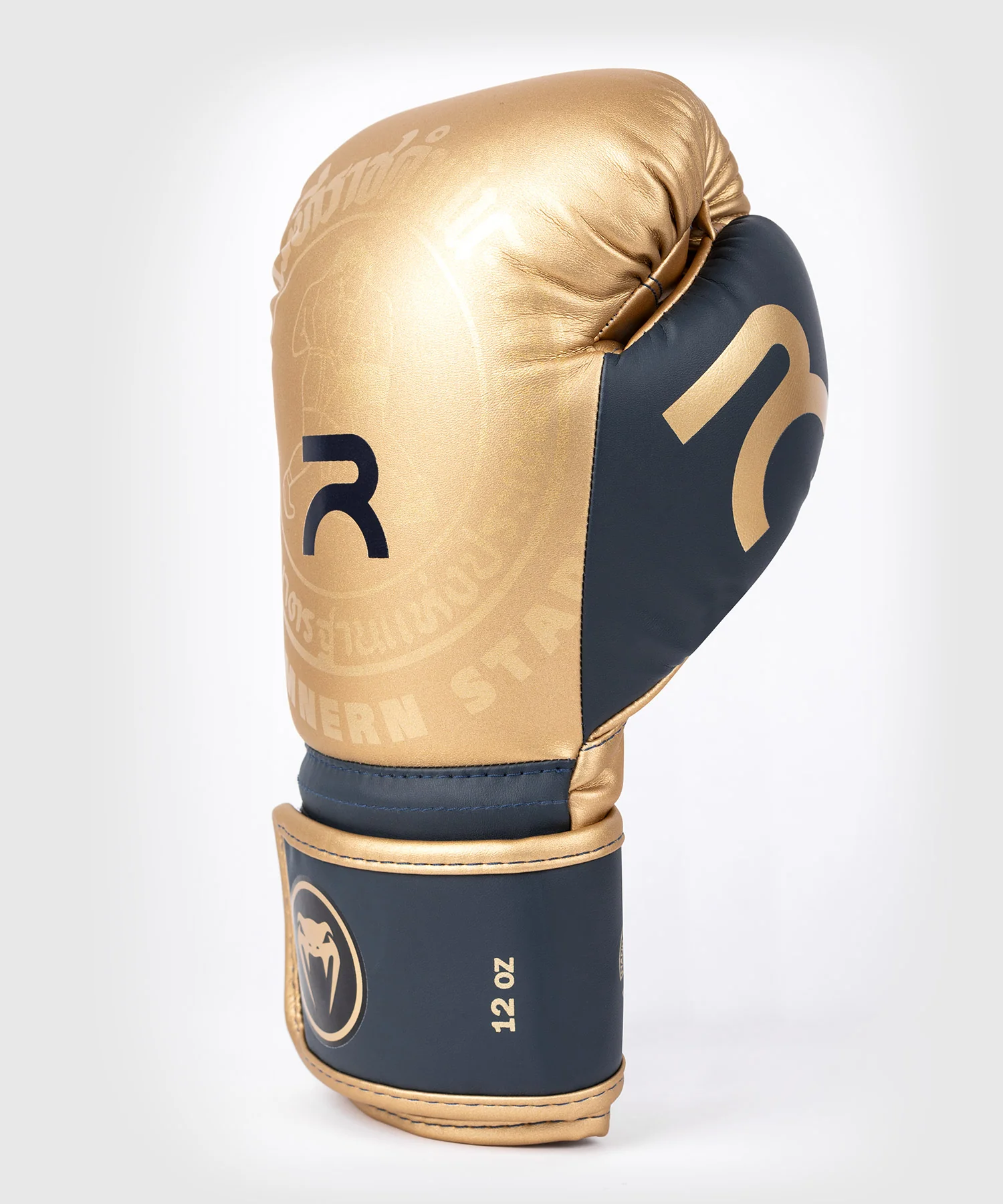 RAJADAMNERN x Venum Boxing Gloves - Sand - Image 5