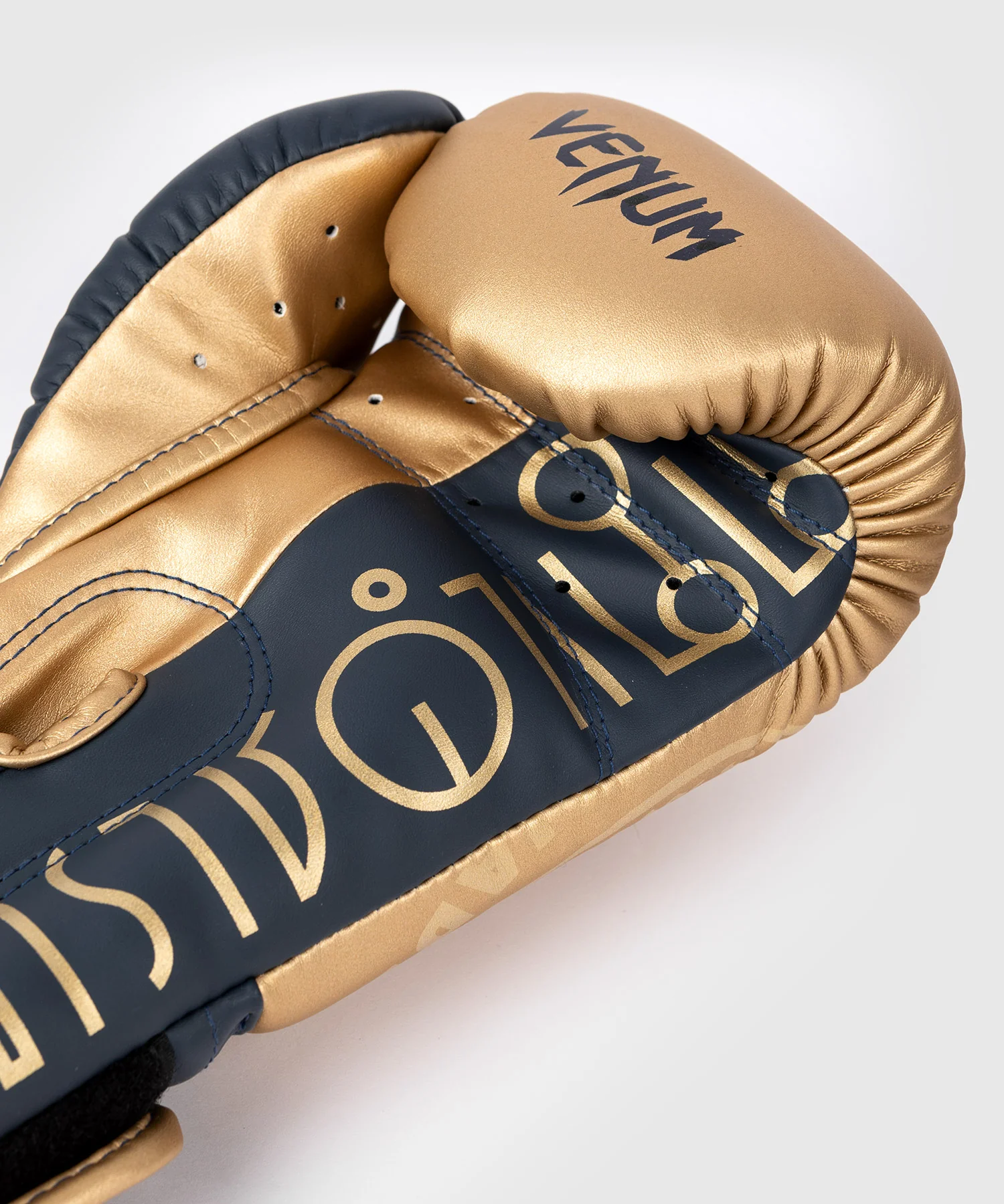 RAJADAMNERN x Venum Boxing Gloves - Sand - Image 8
