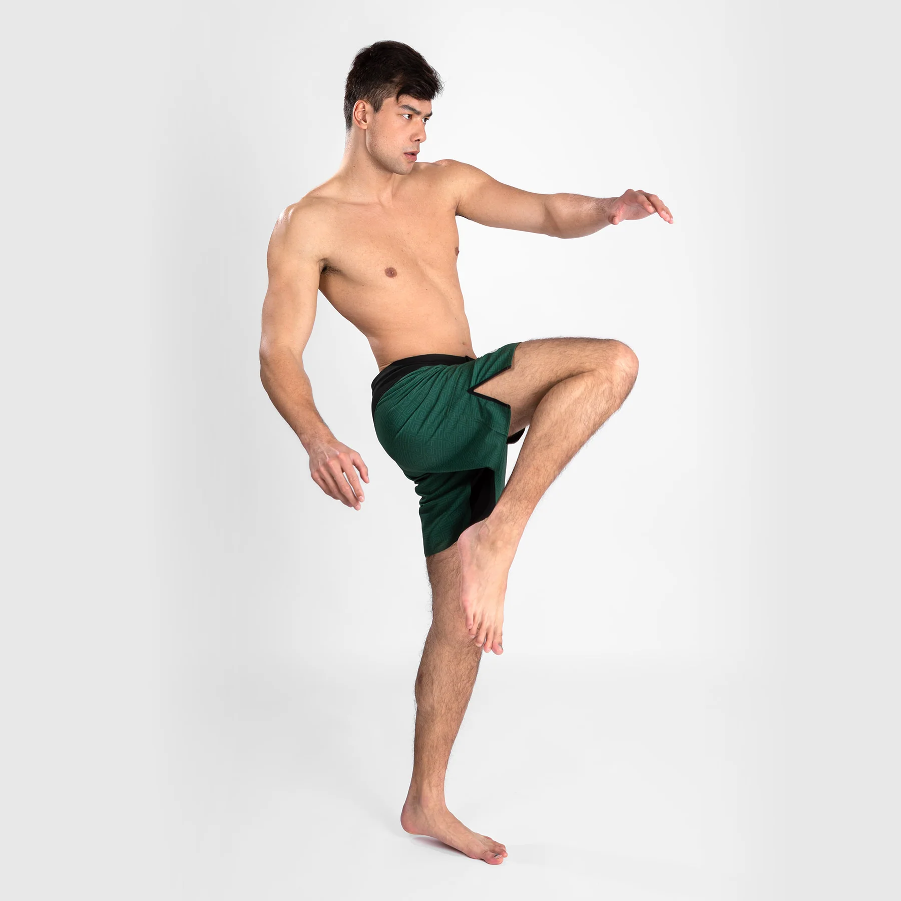 Venum x Ares 2.0 Fight Shorts - Khaki - Image 6
